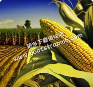 聚焦美加墨世界杯，全程高清呈现 - 看球吧
